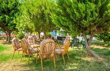 Avalon Кызылот