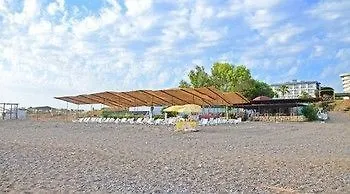 Отель Avalon